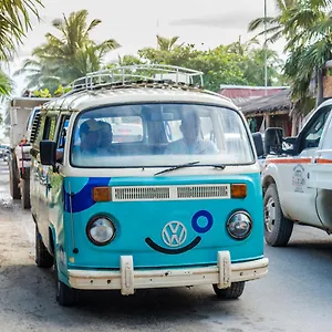 https://maricarmen-beach-hostal.quintano-roohotels.com