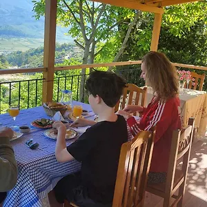 Hasko Gjirokastër