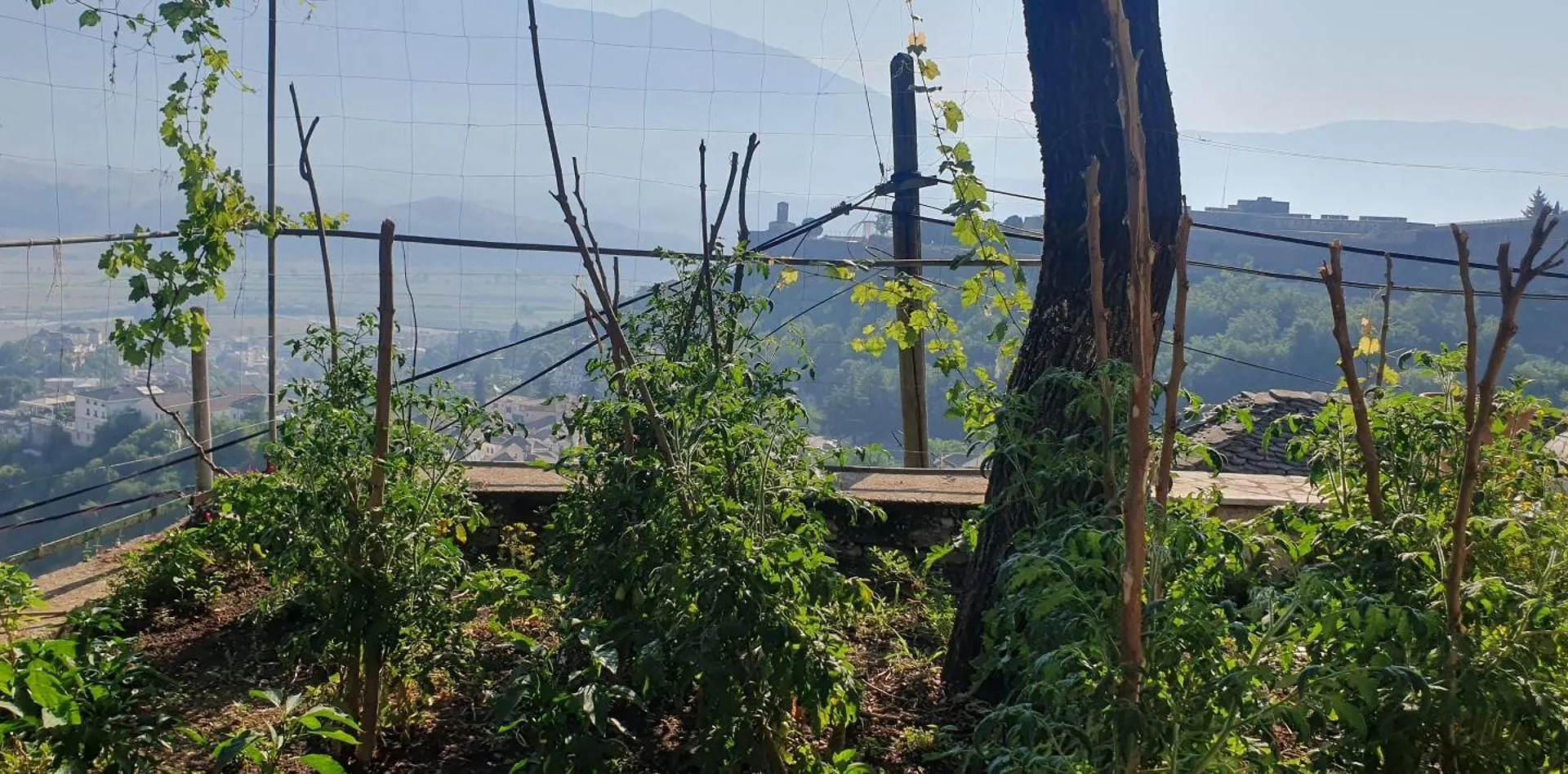 Vendégház Panoramic Vlachos Gjirokastra